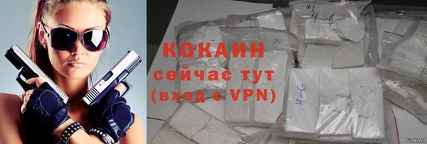 ешки Бородино