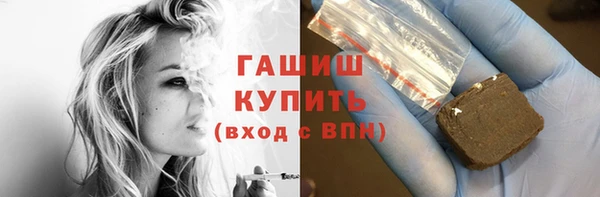 ешки Бородино