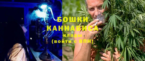 ешки Бородино