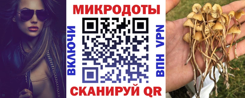 Псилоцибиновые грибы Cubensis  Димитровград 
